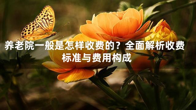 养老院一般是怎样收费的？全面解析收费标准与费用构成