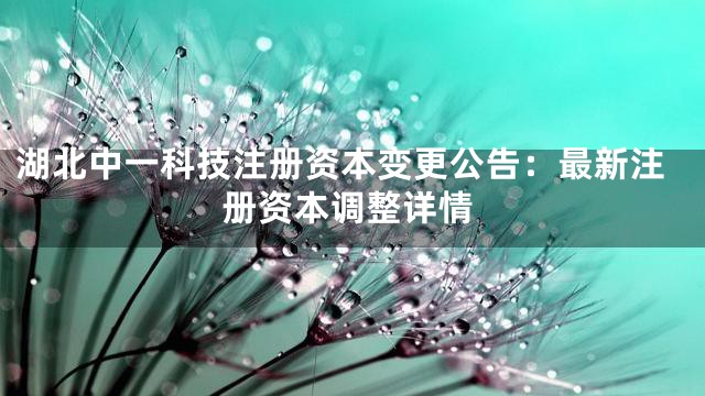 湖北中一科技注册资本变更公告：最新注册资本调整详情