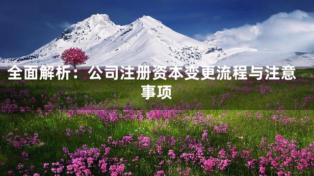 全面解析：公司注册资本变更流程与注意事项