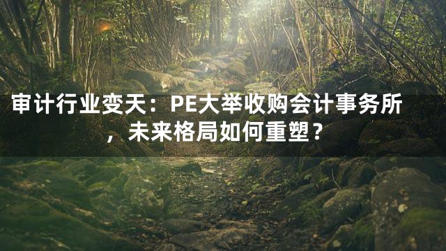 审计行业变天：PE大举收购会计事务所，未来格局如何重塑？