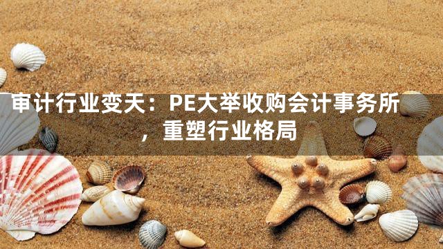 审计行业变天：PE大举收购会计事务所，重塑行业格局