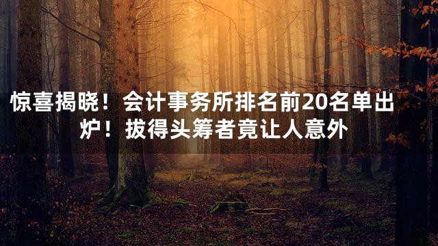 惊喜揭晓！会计事务所排名前20名单出炉！拔得头筹者竟让人意外