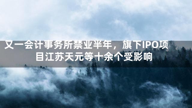 又一会计事务所禁业半年，旗下IPO项目江苏天元等十余个受影响