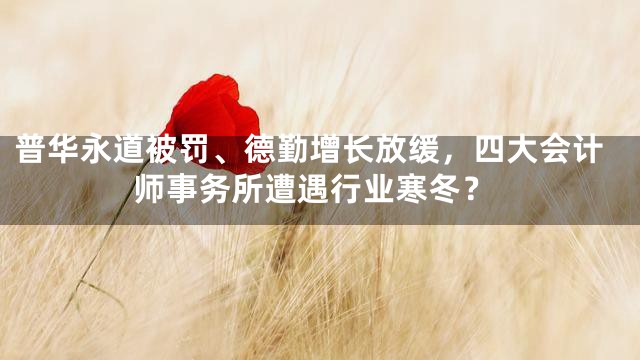 普华永道被罚、德勤增长放缓，四大会计师事务所遭遇行业寒冬？