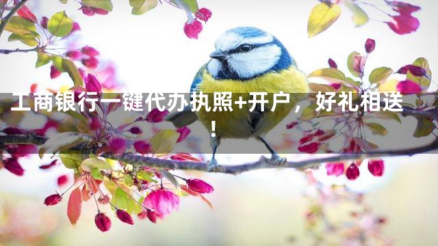 工商银行一键代办执照+开户，好礼相送！