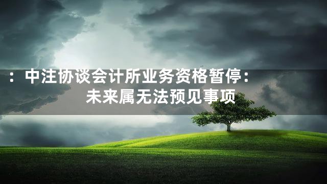 ：


中注协谈会计所业务资格暂停：未来属无法预见事项