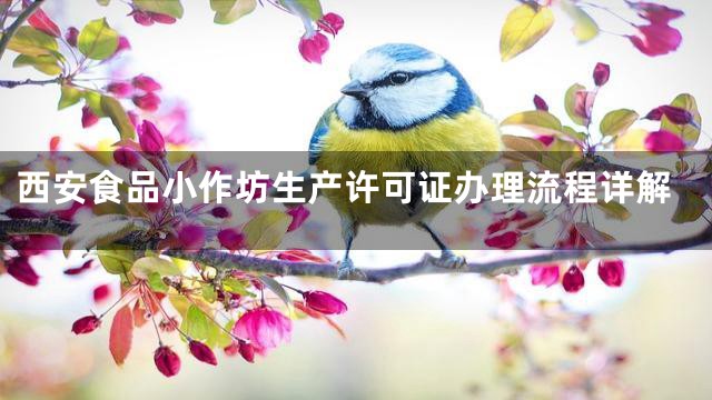 西安食品小作坊生产许可证办理流程详解