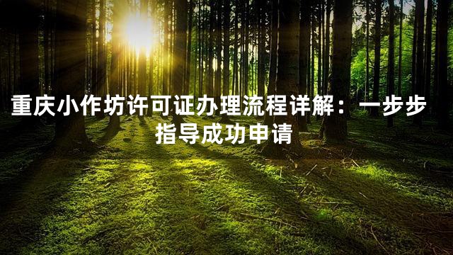 重庆小作坊许可证办理流程详解：一步步指导成功申请