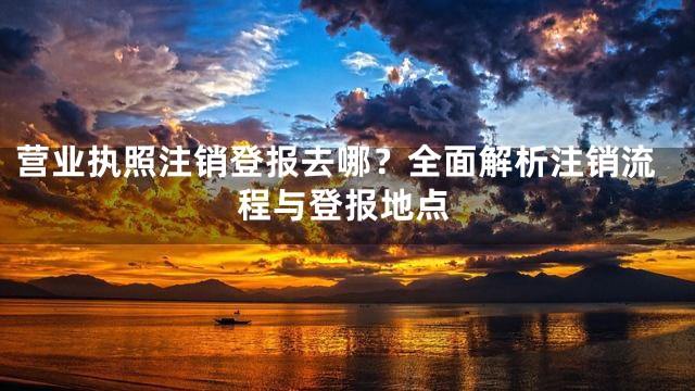 营业执照注销登报去哪？全面解析注销流程与登报地点