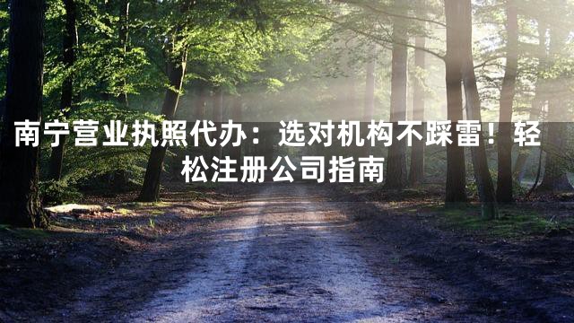 南宁营业执照代办：选对机构不踩雷！轻松注册公司指南