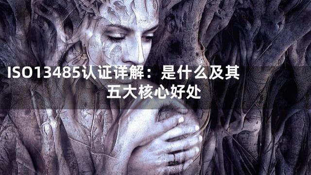 ISO13485认证详解：是什么及其五大核心好处
