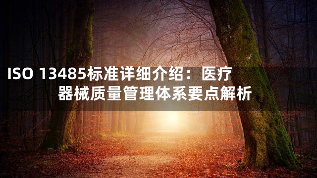 ISO 13485标准详细介绍：医疗器械质量管理体系要点解析