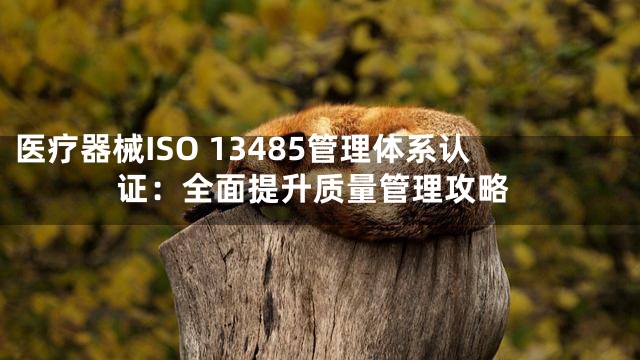 医疗器械ISO 13485管理体系认证：全面提升质量管理攻略