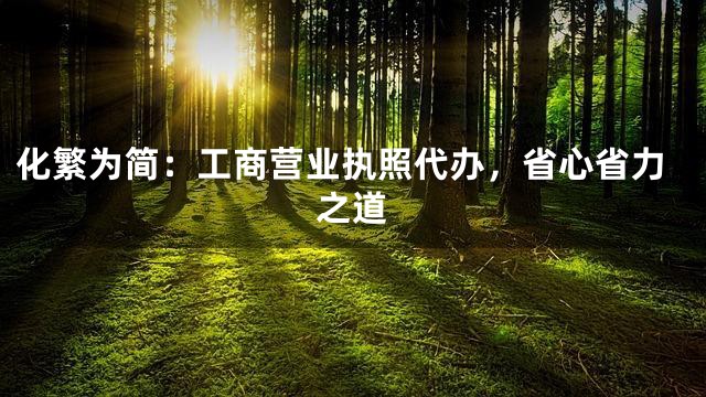 化繁为简：工商营业执照代办，省心省力之道
