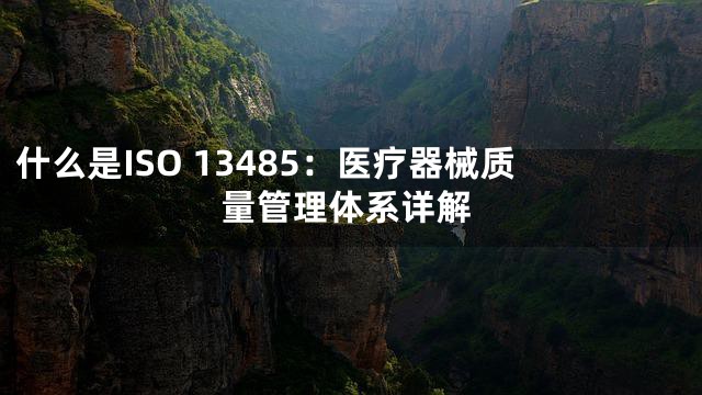 什么是ISO 13485：医疗器械质量管理体系详解