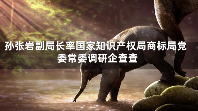 孙张岩副局长率国家知识产权局商标局党委常委调研企查查