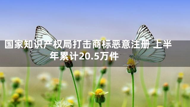 国家知识产权局打击商标恶意注册 上半年累计20.5万件