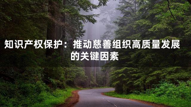 知识产权保护：推动慈善组织高质量发展的关键因素