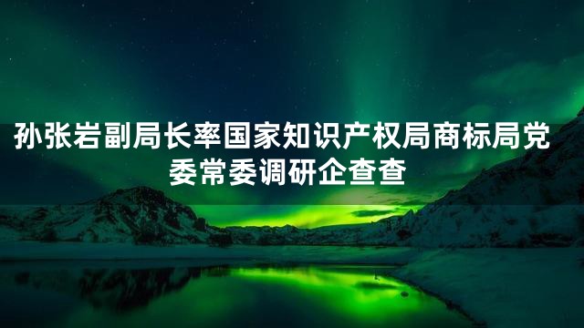 孙张岩副局长率国家知识产权局商标局党委常委调研企查查