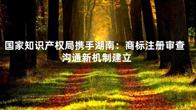 国家知识产权局携手湖南：商标注册审查沟通新机制建立