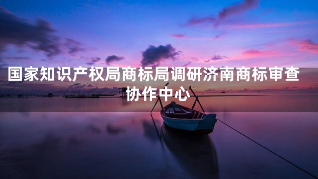 国家知识产权局商标局调研济南商标审查协作中心