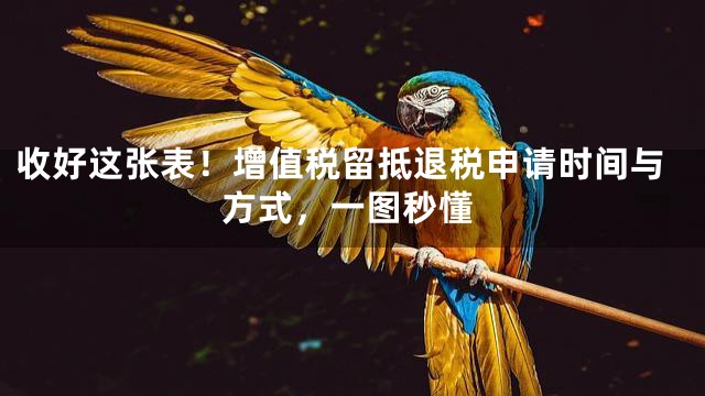 收好这张表！增值税留抵退税申请时间与方式，一图秒懂