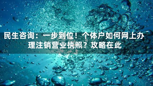 民生咨询：一步到位！个体户如何网上办理注销营业执照？攻略在此