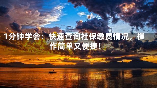 1分钟学会：快速查询社保缴费情况，操作简单又便捷！
