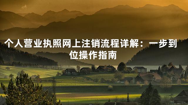 个人营业执照网上注销流程详解：一步到位操作指南