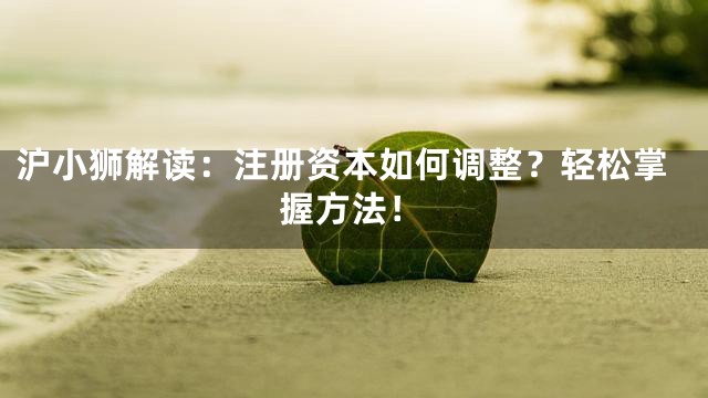 沪小狮解读：注册资本如何调整？轻松掌握方法！