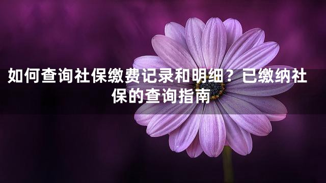 如何查询社保缴费记录和明细？已缴纳社保的查询指南