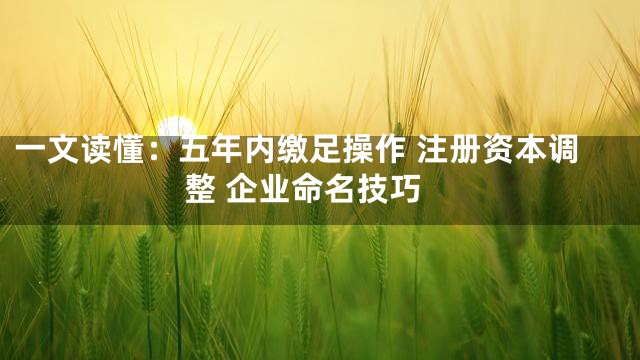 一文读懂：五年内缴足操作 注册资本调整 企业命名技巧