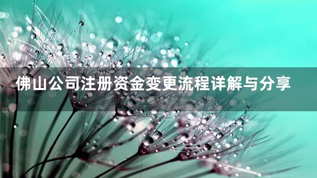 佛山公司注册资金变更流程详解与分享