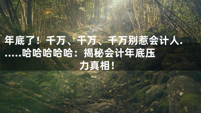 年底了！千万、千万、千万别惹会计人......哈哈哈哈哈：揭秘会计年底压力真相！