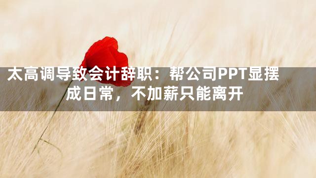 太高调导致会计辞职：帮公司PPT显摆成日常，不加薪只能离开