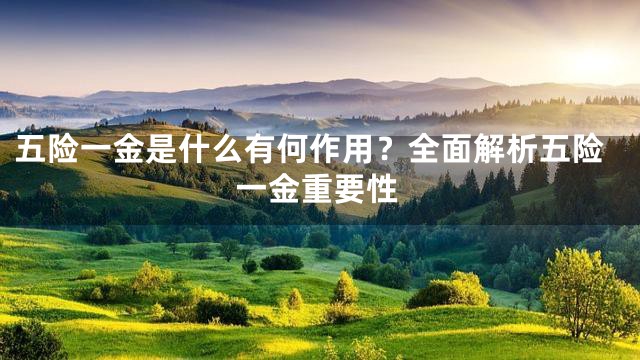 五险一金是什么有何作用？全面解析五险一金重要性