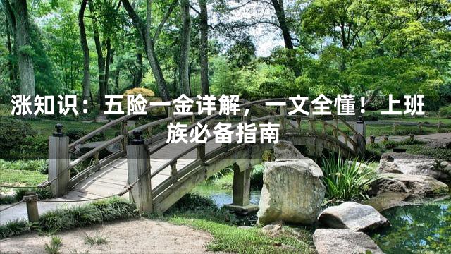 涨知识：五险一金详解，一文全懂！上班族必备指南