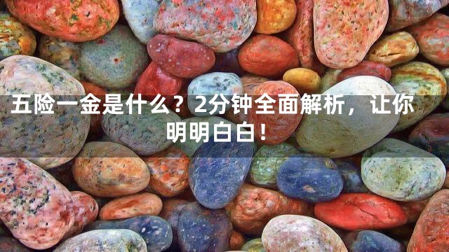 五险一金是什么？2分钟全面解析，让你明明白白！