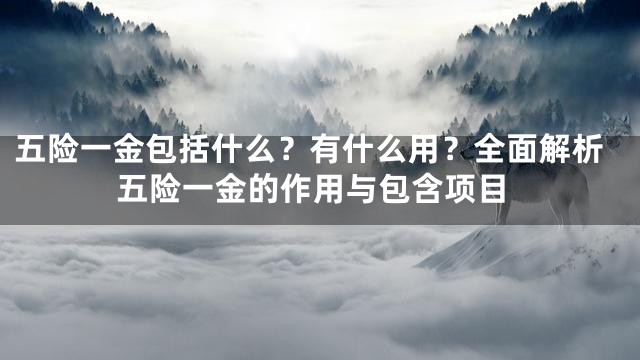 五险一金包括什么？有什么用？全面解析五险一金的作用与包含项目