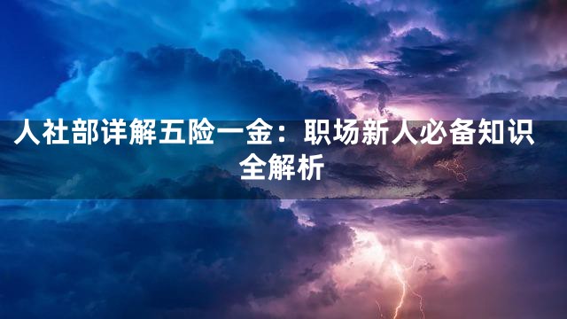 人社部详解五险一金：职场新人必备知识全解析