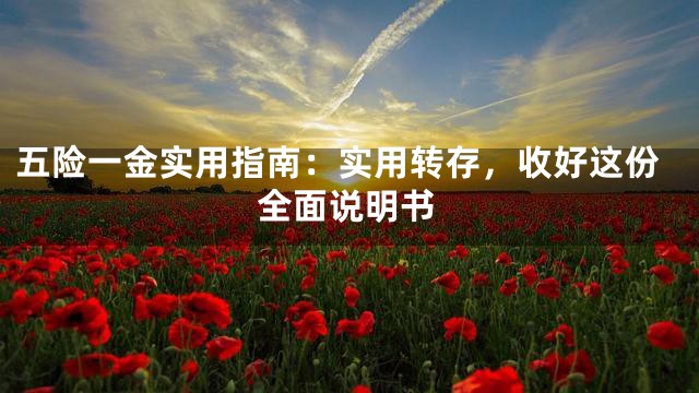 五险一金实用指南：实用转存，收好这份全面说明书