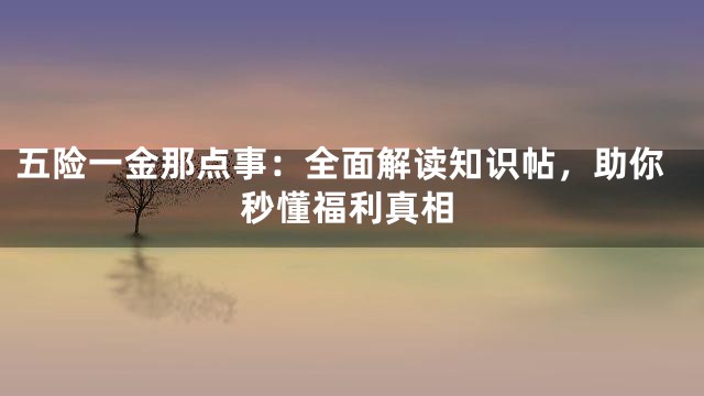 五险一金那点事：全面解读知识帖，助你秒懂福利真相