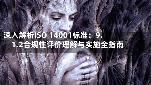 深入解析ISO 14001标准：9.1.2合规性评价理解与实施全指南