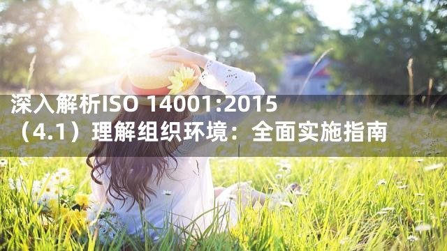 深入解析ISO 14001:2015（4.1）理解组织环境：全面实施指南