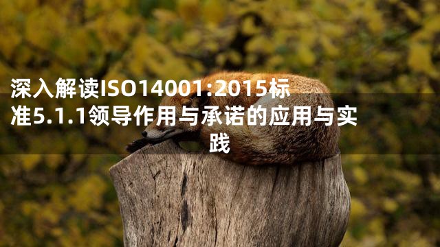 深入解读ISO14001:2015标准5.1.1领导作用与承诺的应用与实践