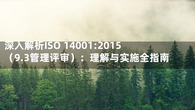 深入解析ISO 14001:2015（9.3管理评审）：理解与实施全指南