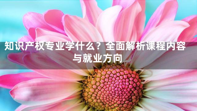 知识产权专业学什么？全面解析课程内容与就业方向