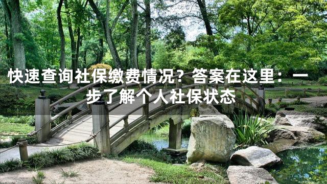 快速查询社保缴费情况？答案在这里：一步了解个人社保状态