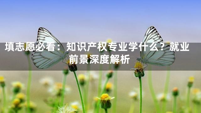 填志愿必看：知识产权专业学什么？就业前景深度解析