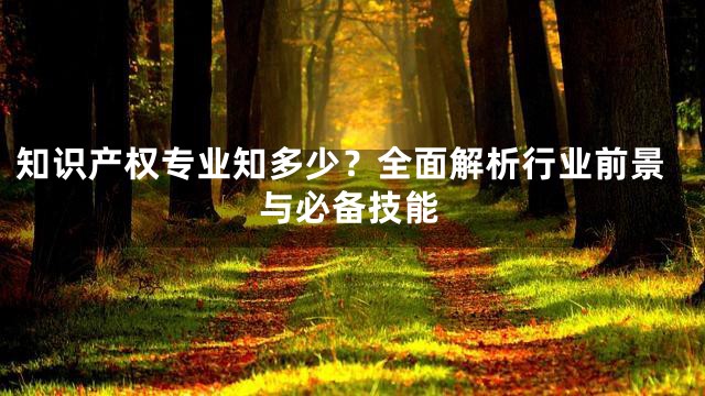 知识产权专业知多少？全面解析行业前景与必备技能